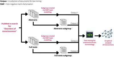 Mapping topography and network of brain injury in patients with disorders of consciousness